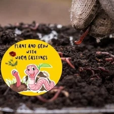 Worm Casting Organic Fertilizer1-0-0 great on medicinal plants  5lb 