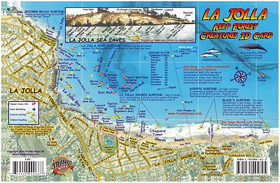 La Jolla Shores Map & Kelp Forest Creatures Guide Franko Maps Fish Card