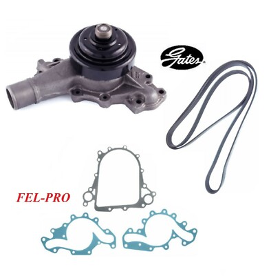 GATES Water Pump & Serpentine Belt & Seal For CHEVROLET C3500 V8 6.5L 2000