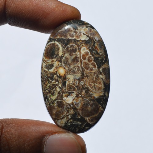 Natural Turritella Agate Gemstone Cabochon 54 Carats Jewelry Making