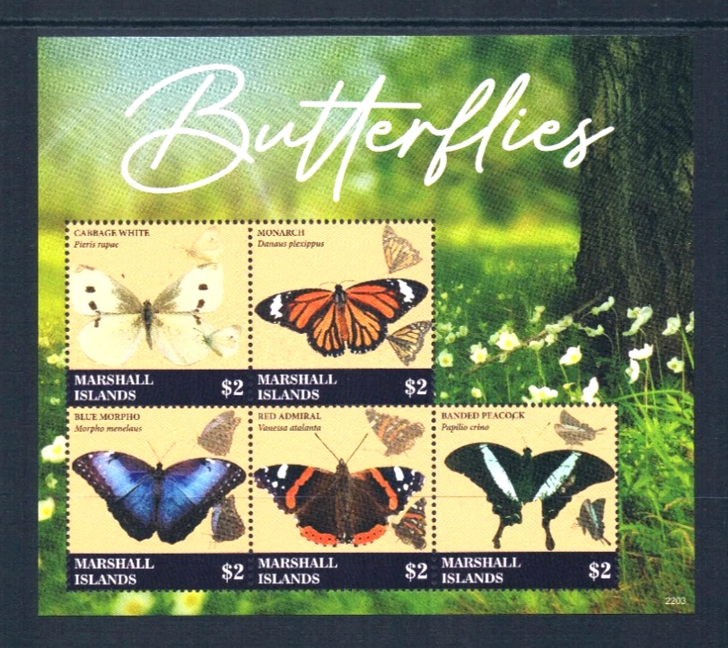 $30.00 Scott Value - 2022 MARSHALL ISL Butterflies 2 s/s Pacific CV MNH NH UMM - Image 3 of 4