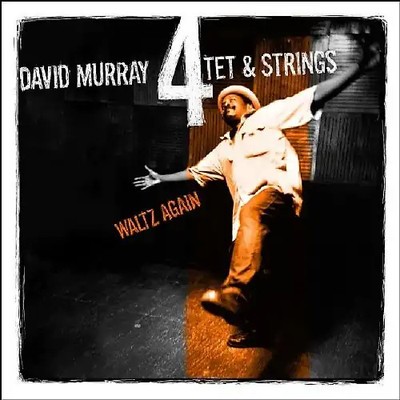 David 4tet & Strings Murray - Waltz Again ZUSTAND SEHR GUT
