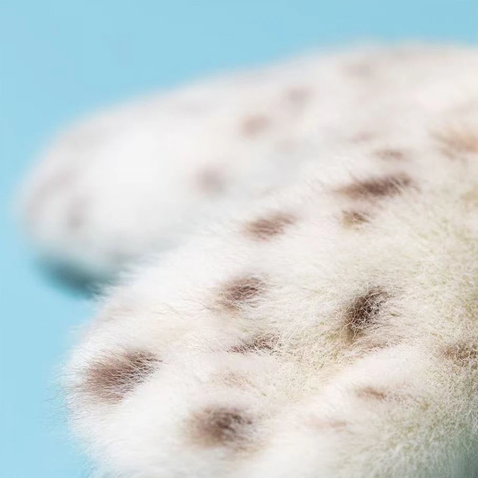 Je*lly cat Plush Toy With White Seal Galumphous Seal Soft Toy Stuffed Toy 10In - Image 4 of 4