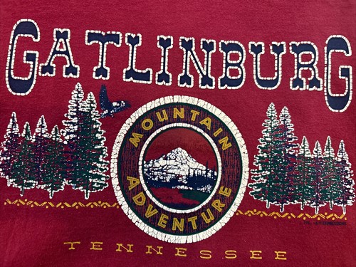 Camisa águila aventura Great Smoky Mountains Gatlinburg TN de colección rara años 80 90 - Imagen 5 de 7
