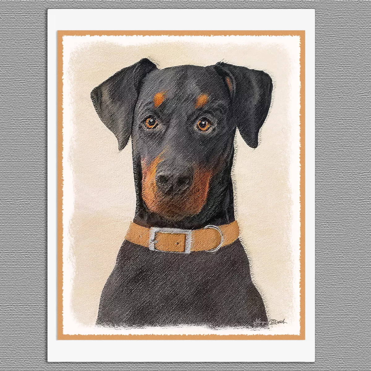 Alpen pinscher cheap