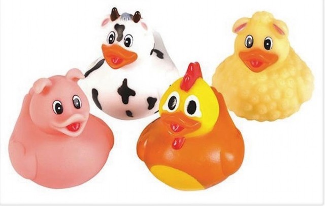 novelty ducks