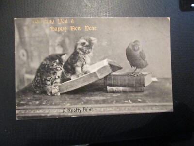Postkarte - A Knotty Point (Kätzchen & Vogel) unbespielt