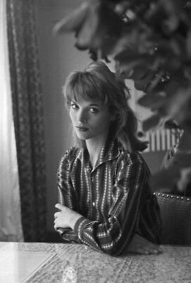 Elsa Martinelli Sexy 8x12 giclee photo 