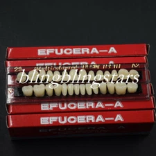 28 PC Dental Denture Acrylic Resin Teeth Full Set Teeth Upper Lower Shade A2 #23