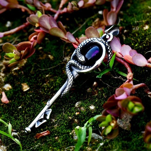 Stainless Steel Necklace Snake Stone Jewelry Ophiuchus key Pendant Necklace - Picture 5 of 5