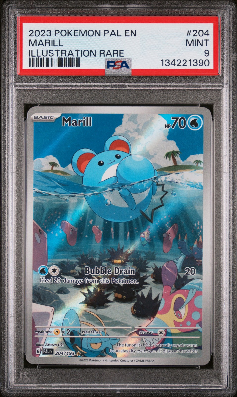 Marill #204