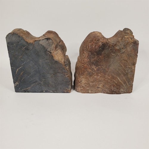 Sujetalibros de madera petrificada 14,9 lb par combinado de muestras minerales fósiles pulidas - Imagen 3 de 5