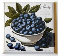 Blueberries Bowl FRIDGE MAGNET "style B"
