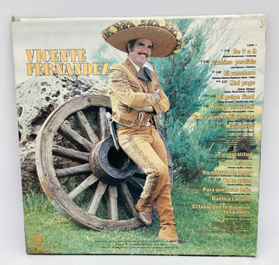 VICENTE FERNANDEZ 