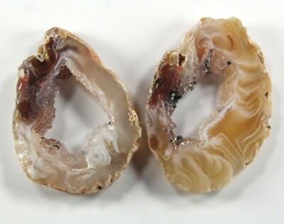 Two (2) Natural Agate Occo Crystal Druzy Geode Polished Slices Ocho  (351) 
