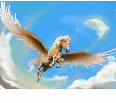 Diamond Painting 5D Pegasus Design Embroidery House Wall Decors Portrait Display