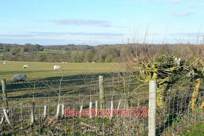 FOTO FARMLAND AUF LOVEGROVES FARM ES IST EIN SCHÖNER TAG ENDE JANUAR, ABER TROTZDEM