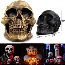 Life Size Human Skull Model 1:1 Replica Realistic Skull Head Bone Skeleton Model