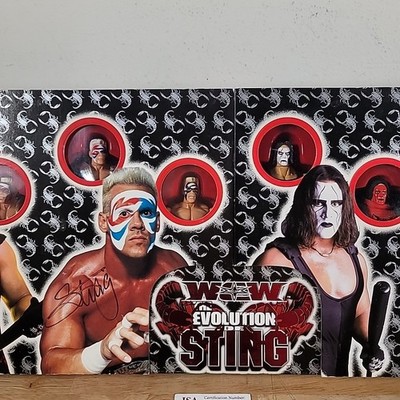 ToyBiz WCW The Evolution of Sting Box Set Wrestling WWE WWF NWO