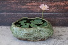 Premium Succulent Planter Pot Bonsai Lotus Pot, Ceramic with Decorative