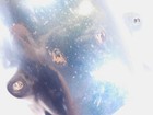 Bild 8 von 10