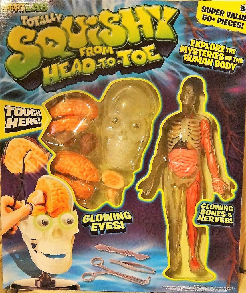 Totally Squishy Head to Toe Explore Mysteries Human Body Smart Lab