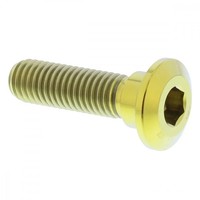 Bremsscheibenschraube Vorne M8X1.25 30Mm Titan Gold FüR Kawasaki Z 750 GP 1982
