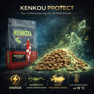 Koifutter - schleimhautunterstützend - KENKOU  PROTECT 6 mm 2kg - schwimmend