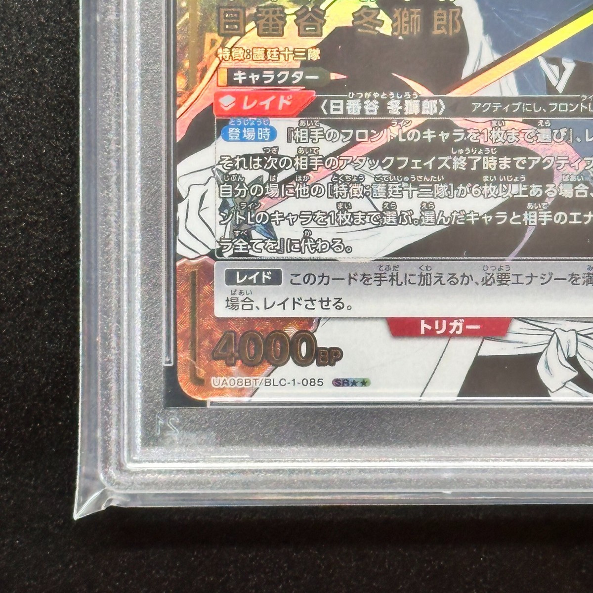 多種多彩サリー　sp psa10 $_57.JPG?set_id=880000500F