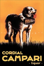 Campari Cordial 1920 St Bernard Dog Vintage Poster Print Retro Style Art Liquor