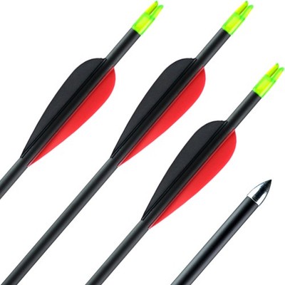 6er SET 31-35 lbs Carbonpfeil ExoSPHERE Prime - mit Vanes, Spine 600, 32 Zoll