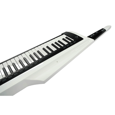 KORG RK-100S 2 WH Keytar Analog Modeling Synth Keyboard w/ Case