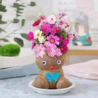 Grass Doll Grass Head Flowering Doll Creative Head Long Grass Hydroponic Flo  Gz
