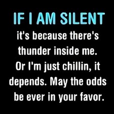 If I am silent there's thunder inside me or chillin' may odds be in favor MAGNET