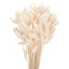 120 St&uuml;ck nat&uuml;rliche Hasenschw&auml;nze,getrocknete Blumen,43cm,Mini-Gras,wei&szlig;