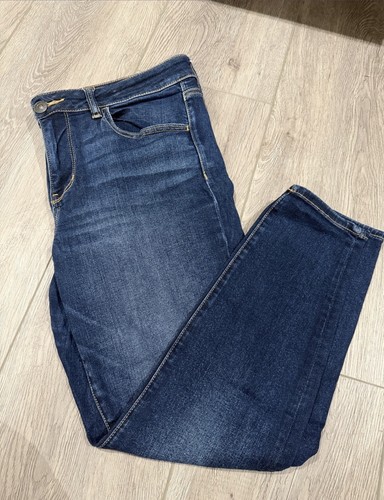 American Eagle Outfitters Dark Wash Jegging Jeans Women’s 14 Short Stretch