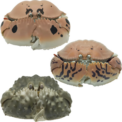 Bandai Japan Gashapon Figure Calappa Lophos Shame-faced Box Crab from ...
