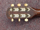 Picture 7 of 14