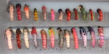 Fishing Fly Assortment of Czech Nymphs 24 Pc's #8 & #10 Quality Hooks   NP19 