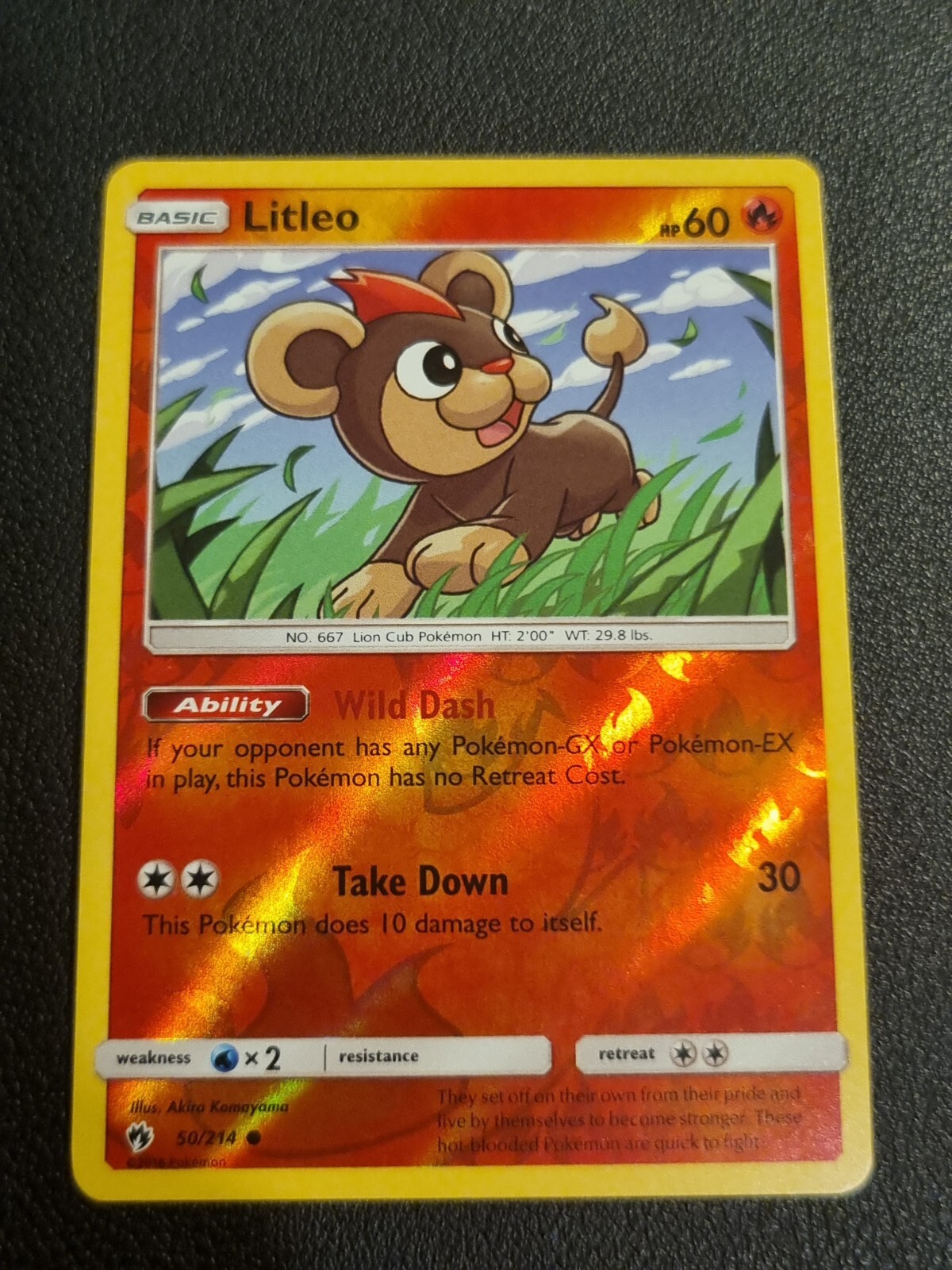 REVERSE HOLO Pokemon Card TCG Sun & Moon Lost Thunder Litleo 50/214