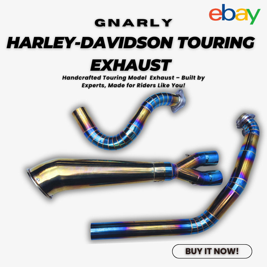 2-Into-1 GNARLY Blue Gold Exhaust Fits Harley Road King Street