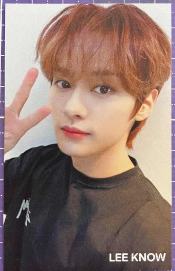 STRAY KIDS Lee Know 5 STAR HMV JAPAN Limited Official Photo