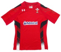 Wales 2013/14 Home Womens Replica Shirt Wales 2013/14 Home Womens Replica Shirt