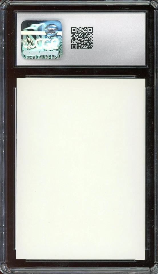 CGC 8.5 Beta Artist Proof Forest {PATH} ~ Vintage MTG/Magic ~ RARER than ALPHA!! - Image 2 of 2