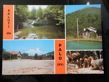 20145) PROVINCIA SAVONA SALUTI DA PALO VEDUTE VARIE TURISMO CACCIA PESCA