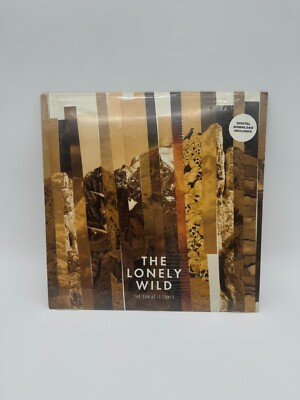 The Lonely Wild The Sun as It Comes 2013 Ursa Major Records Rare First Pressing