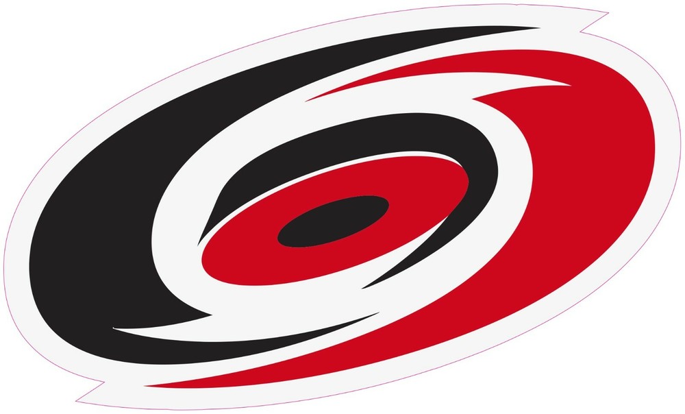 (NOT A PATCH) Carolina Hurricanes Hockey HTV Heat Press Transfer Vinyl Iron On