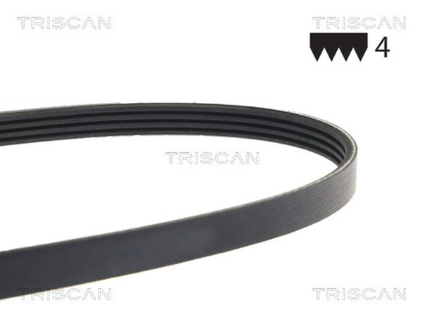 Triscan Keilrippenriemen 8640 400595 FüR Persona Mitsubishi 300 Proton 400 Colt-image