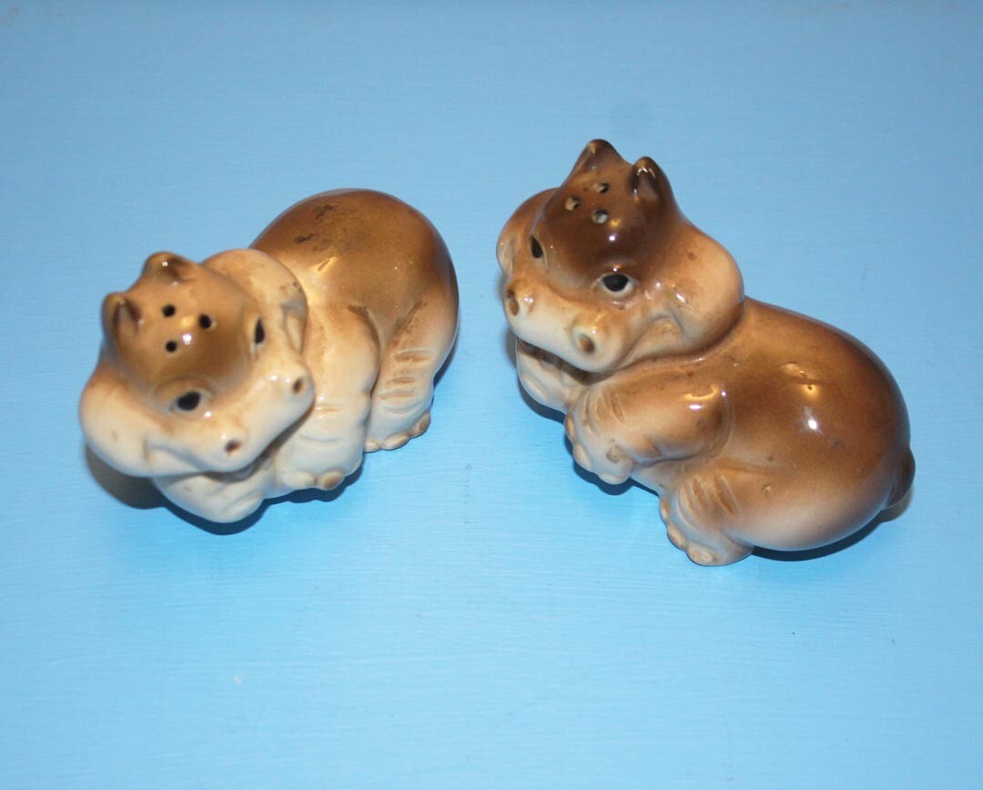 Hippopotamus Salt & Pepper Shaker Set * Hand Painted * Ceramic Hippo