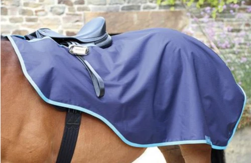 Exercise Sheet Horse 5' 6" Size Rugs